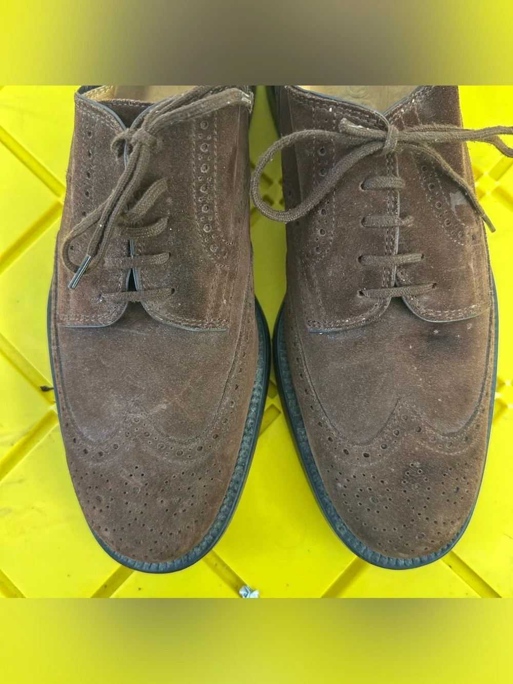Tod's Shoes Suede Leather Wingtip Brogue Derby Mens Size 10 Brown Made In Italy